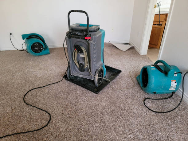 Best 24-hour water damage restoration  in Hermitage, PA