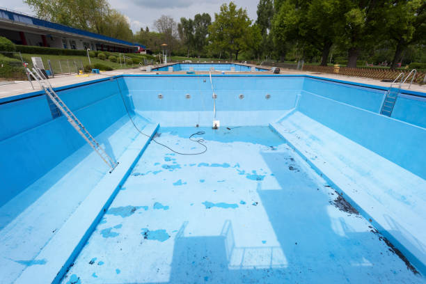 Best Basement water damage restoration  in Hermitage, PA