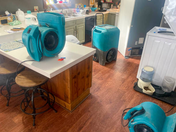 Best Local water damage restoration  in Hermitage, PA