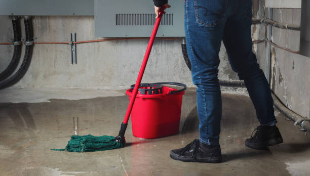 Best Water damage contractors near me  in Hermitage, PA