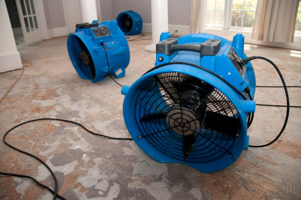 Water damage restoration experts in Hermitage, PA