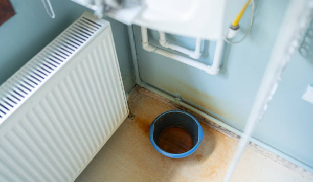 Best Mold removal after water damage  in Hermitage, PA