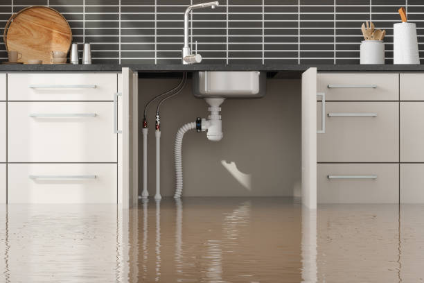 Best Sewage cleanup and water damage restoration  in Hermitage, PA