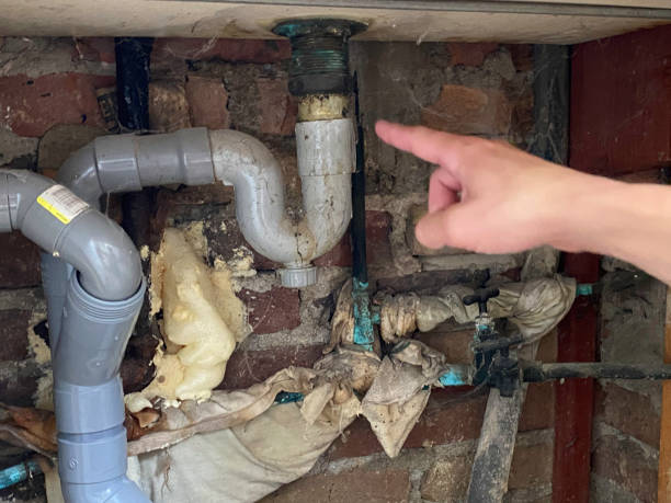 Best Water damage cleanup near me  in Hermitage, PA