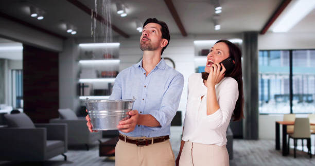 Best 24/7 water damage repair  in Hermitage, PA