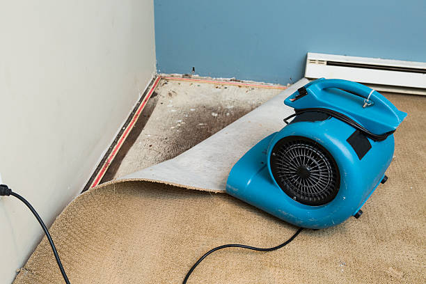 Best Fire Damage Restoration  in Hermitage, PA