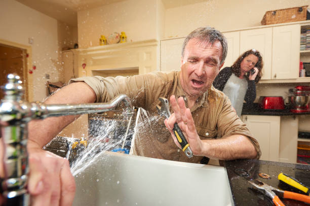 Best 24/7 water damage repair  in Hermitage, PA